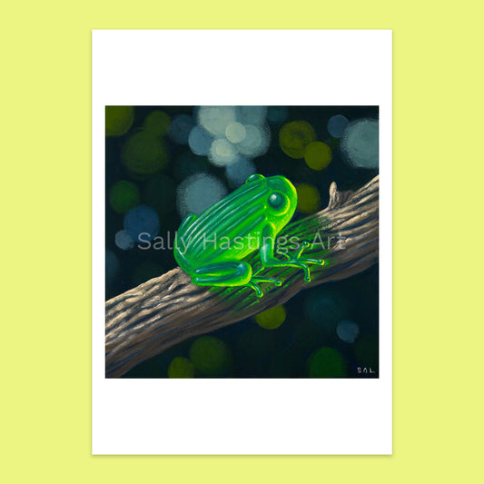 Green Frog – limited edition print