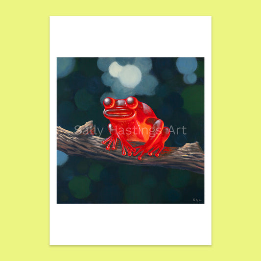Red Frog – limited edition print
