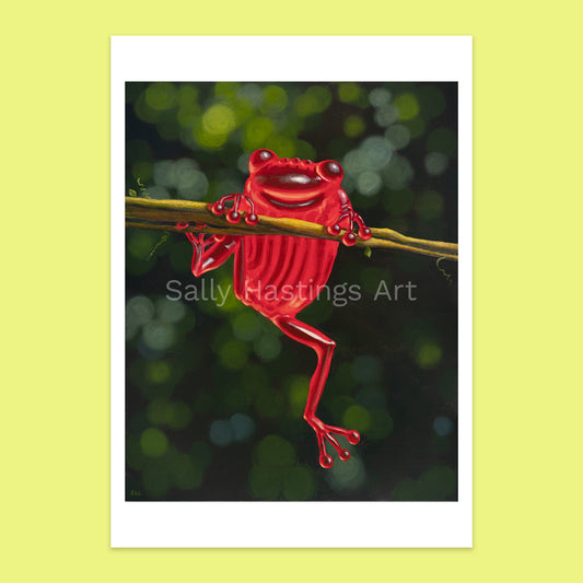 Frog 'Hanging in there' – limited edition print